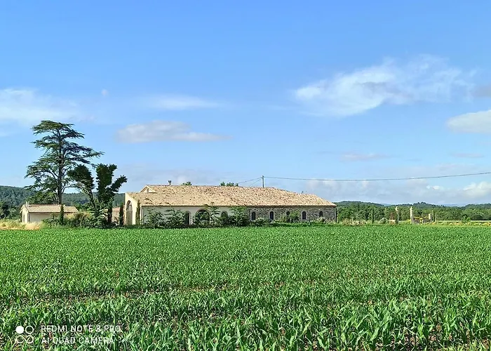 La Bohême
